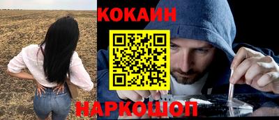 дживик Можга