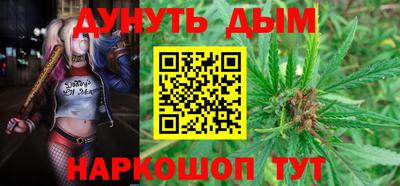 дживик Можга
