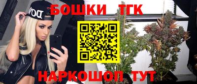 дживик Можга