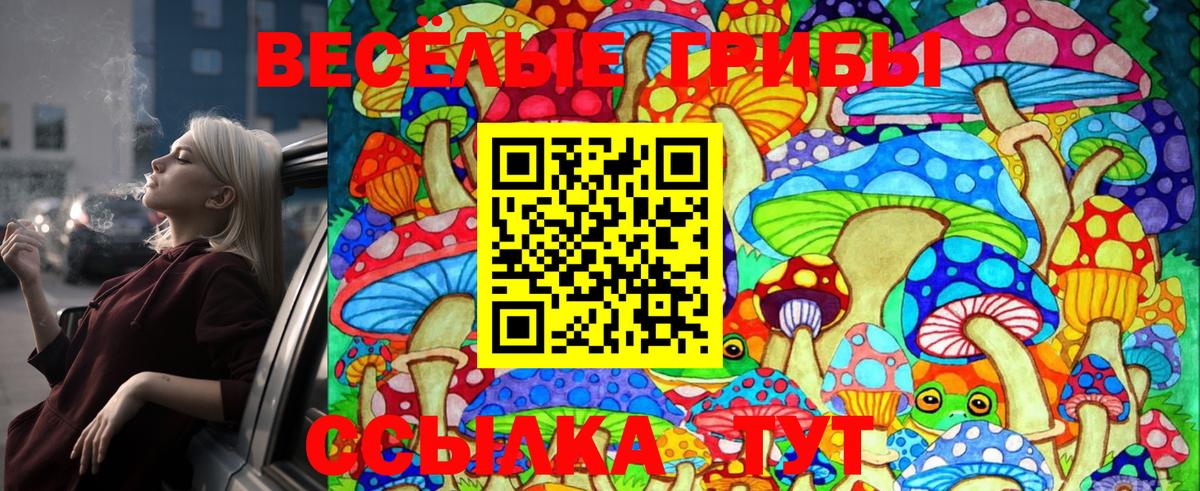 Галлюциногенные грибы Psilocybe Черкесск